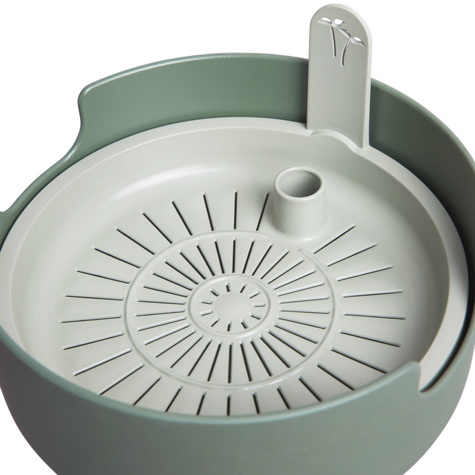 magic microgreens laubgrün